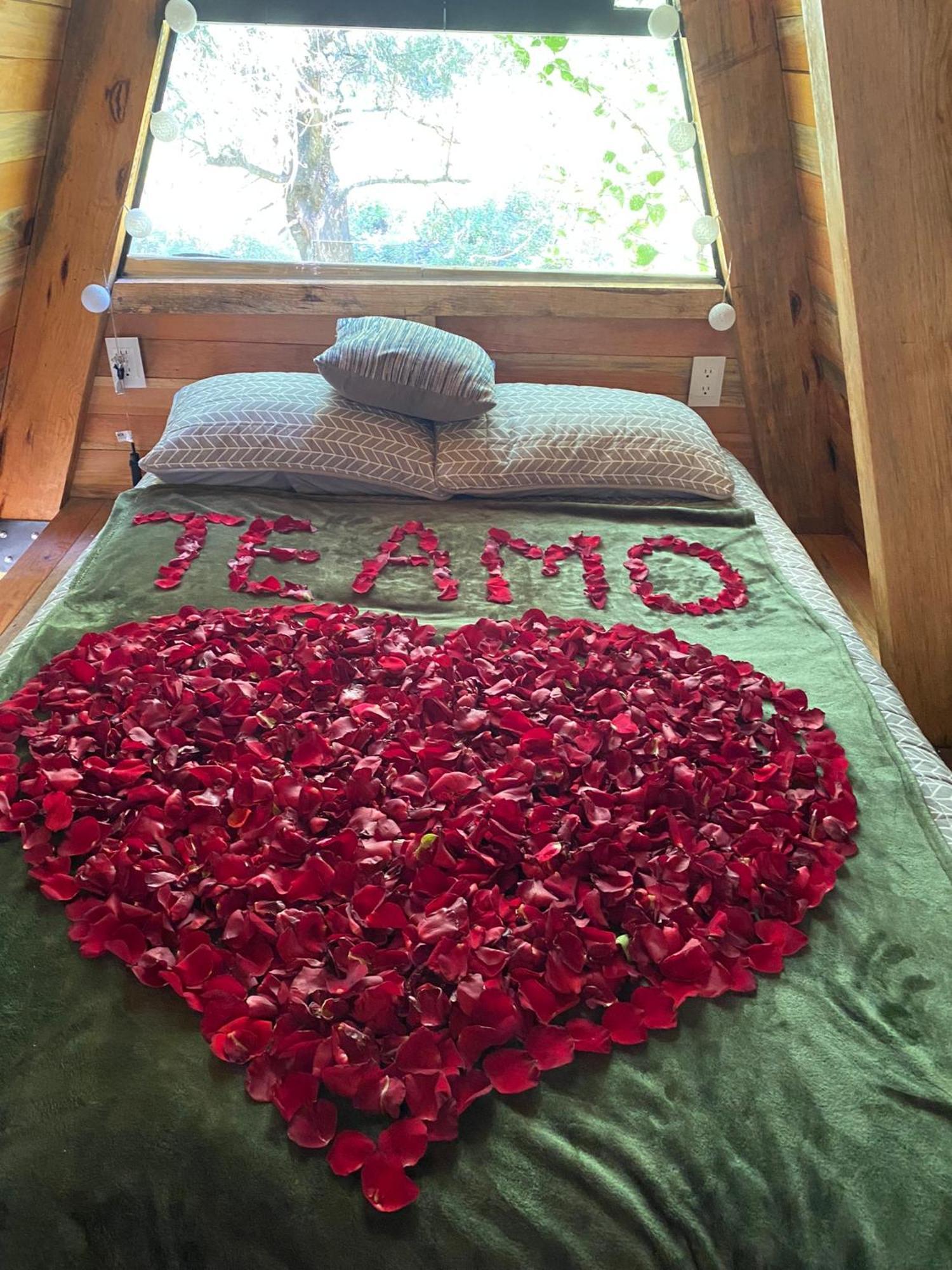 Cabanas Alpina, Romantica Y Acogedora A 10 Minutos Del Centro เตโปซตลัน ภายนอก รูปภาพ